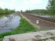 2006